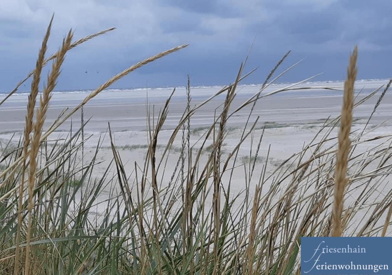 Friesenhain Ferienwohnungen Sankt Peter-Ording Exterior foto